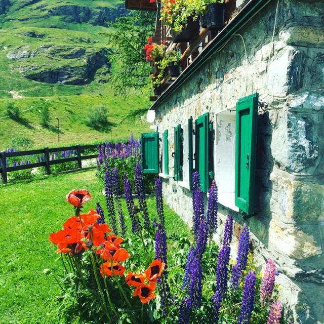 Apartamento At The Foot Of Cervino Cir 0832 Cin Itoo7071C2K3Fq9Xbg Breuil-Cervinia Exterior foto
